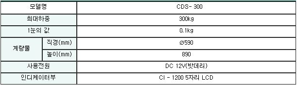 CDS-300 사양.png