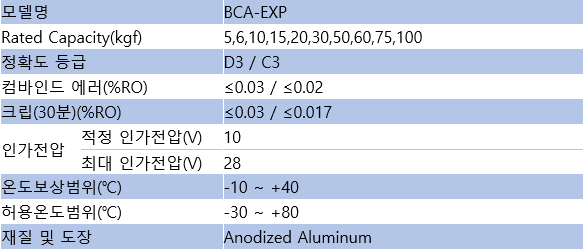 BCA-EXP 사양.PNG